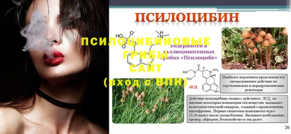 винт Баксан
