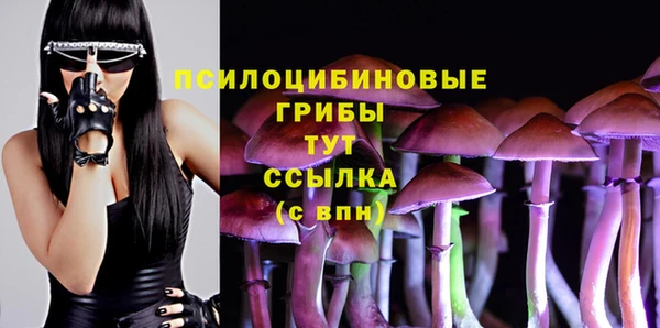 винт Баксан