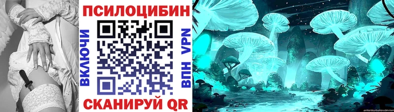 как найти закладки МЕГА рабочий сайт Псилоцибиновые грибы мухоморы Вольск