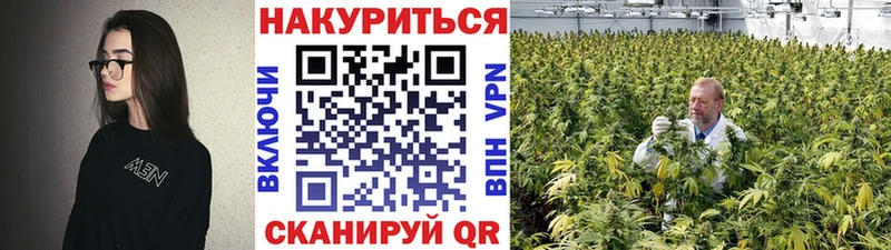 Конопля планчик Вольск